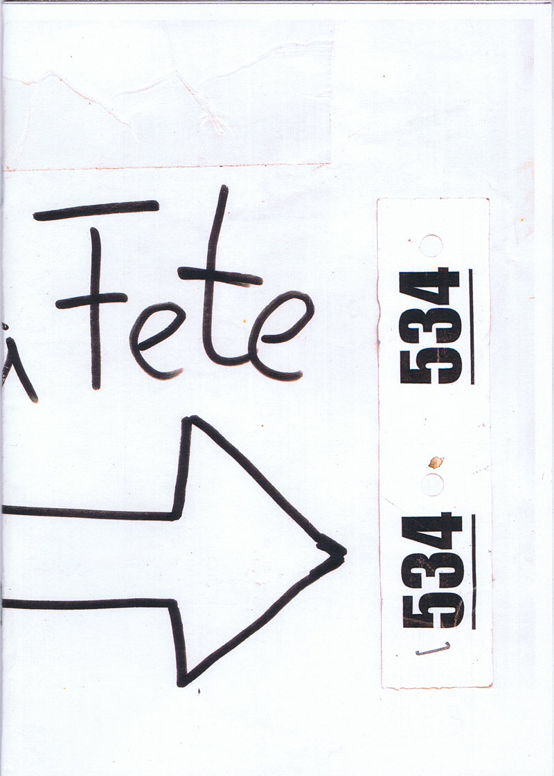 36145-brandstifter-asphaltbiblioteque-rosa-fete