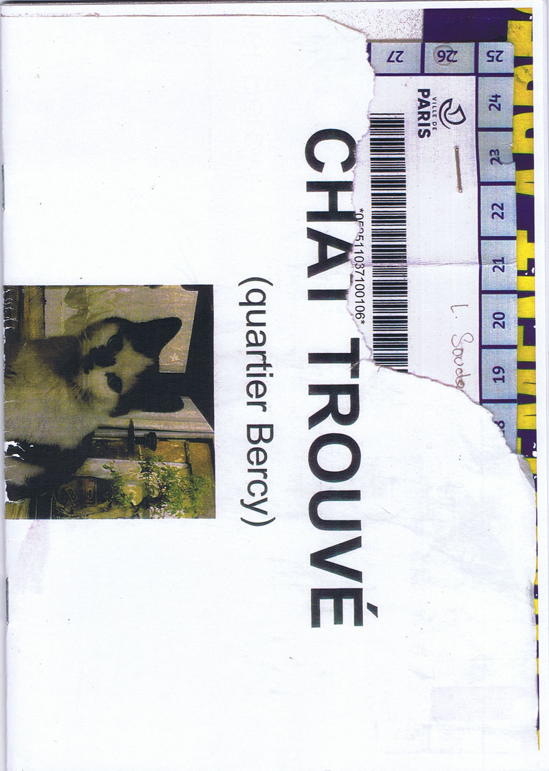 36148-brandstifter-asphaltbibliotheque-chat-trouve