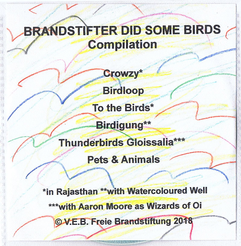 bs-did-some-birds