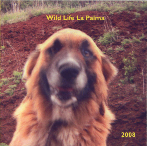 mauler-wild-life-la-palma